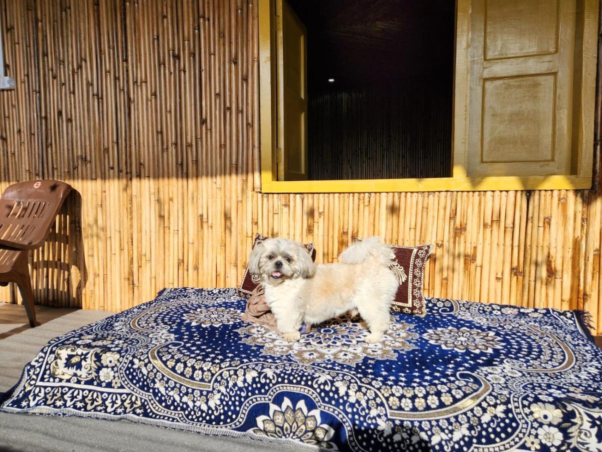Pahaadi Dhun Homestay Chamba  Екстериор снимка