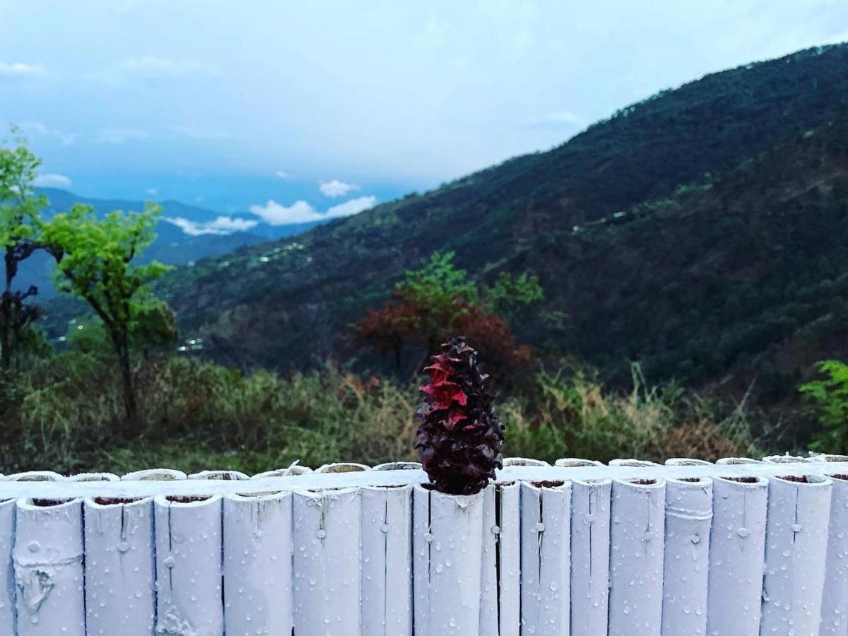 Pahaadi Dhun Homestay Chamba  Екстериор снимка